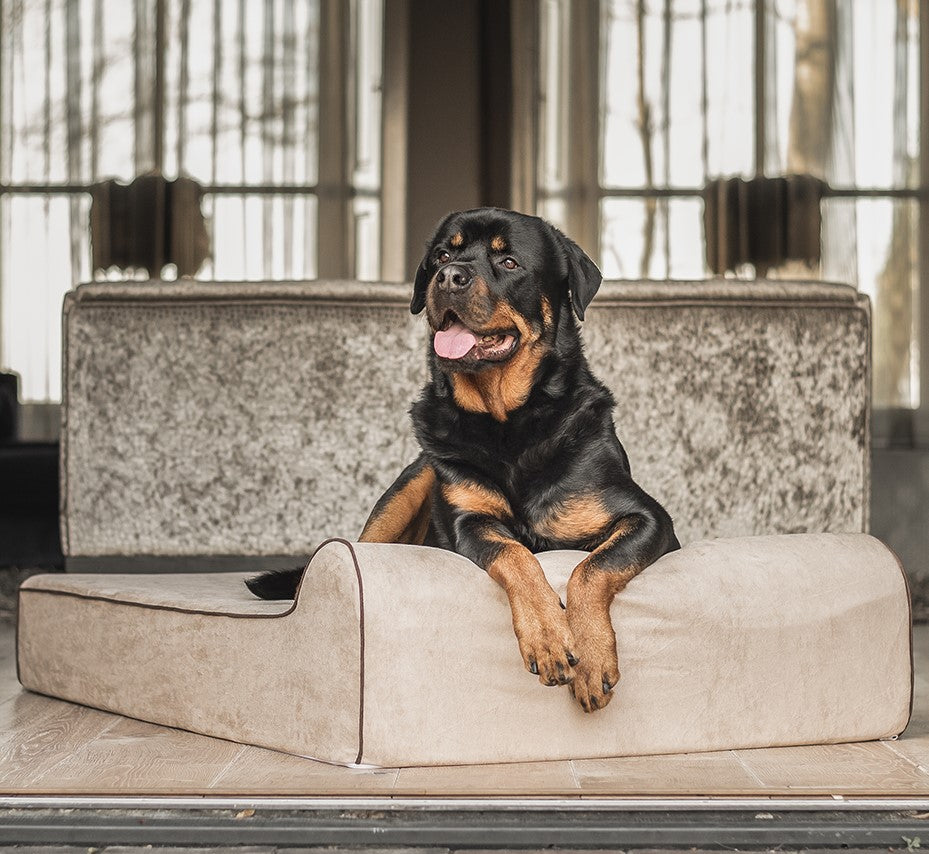 files/Rottweiler-bully-beds-europe-taupe-beige-close-up.jpg files/Rottweiler-bully-beds-europe-taupe-beige-close-up.jpg