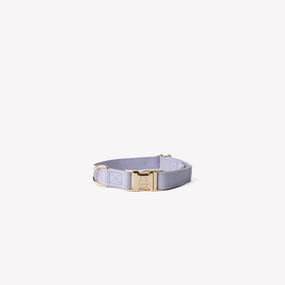 Lavender - Canvas Dog Collar
