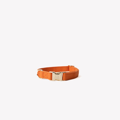 Terracotta - Canvas Dog Collar