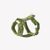 Green - Velvet Dog Harness