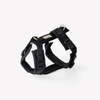 Black - Comfort Dog Harness
