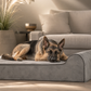 Original Bully Bed Grey