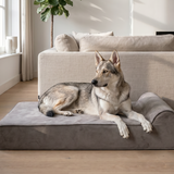 Origineel Bully Bed Grijs