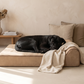 Origineel Bully Bed Beige