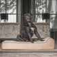 Stijlvolle, taupe / beige vervangende hoes voor orthopedisch hondenbed van Bully Beds, afneembaar, machinewasbaar en zacht voor extra comfort en ondersteuning. Tijdloos design, passend in elk interieur